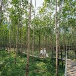 Top các nhà hàng hải sản ở Quảng Bình