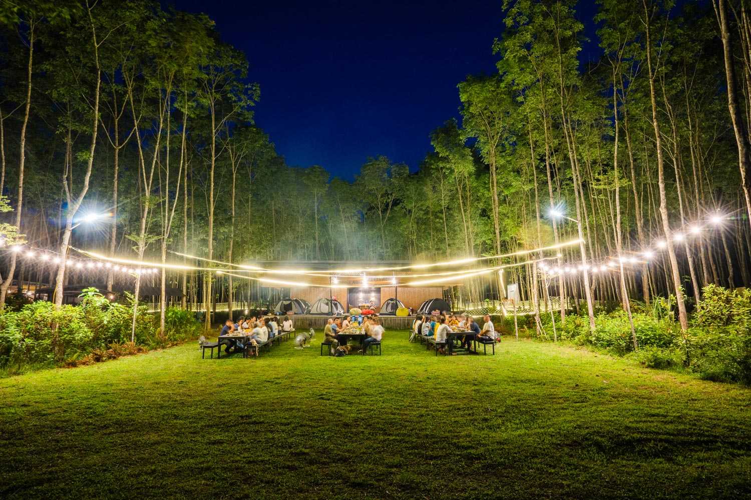Gia đình, nhóm bạn cùng nhau thưởng thức bữa tối ngon miệng ngay trước khu camp.