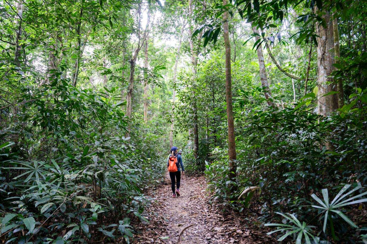 Quảng Bình được thiên nhiên ưu đãi cho nhiều cung đường trekking tuyệt đẹp.