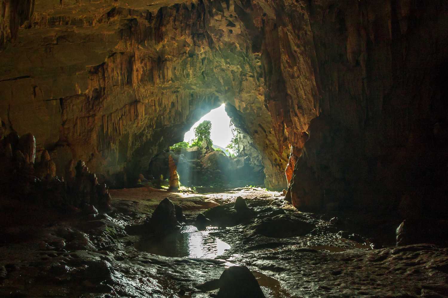 Chiêm ngưỡng ánh nắng chiếu thẳng vào lòng hang qua mái vòm cao vút của Hang Chuột.