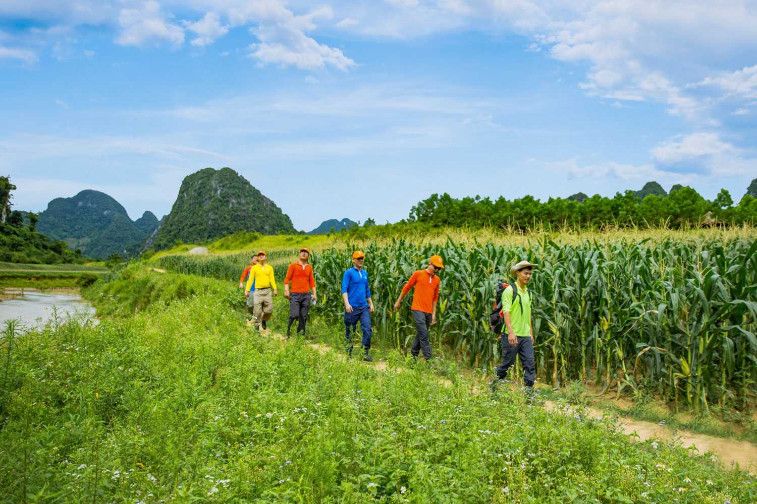 Cung đường trekking băng qua những cánh đồng ngô.