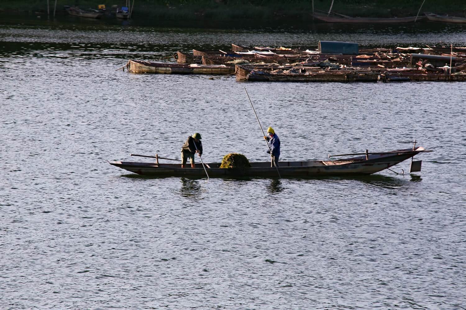 Làng nghề cá trắm sông Son phát triển mạnh từ năm 2003, trở thành ngành kinh tế mũi nhọn với hơn 700 lồng bè vào năm 2023