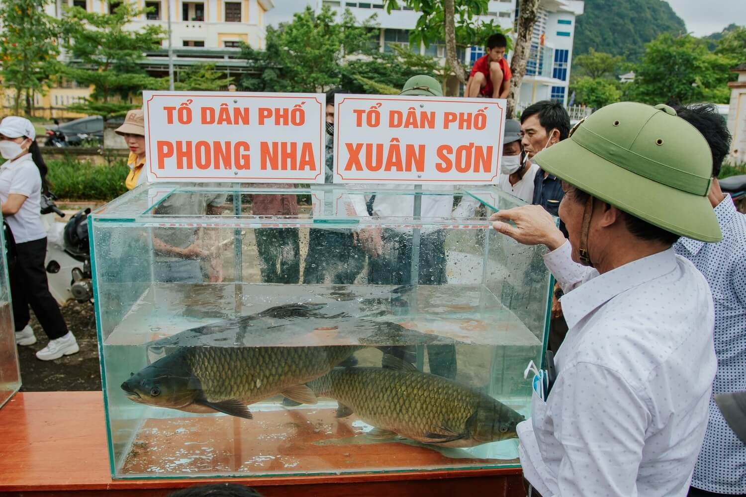 Lễ hội cá trắm sông Son được tổ chức thường niên với các phần thi như cá to cá đẹp và chế biến món ăn ngon từ cá trắm (source: báo Thanh Niên)