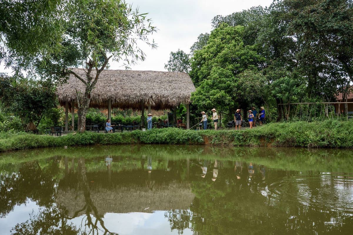 Duck Tang Farm Phong Nha: Một góc hồn quê giữa núi rừng 2 Duck Tang Farm có ao cá khá rộng, nuôi nhiều loại cá nước ngọt để du khách trải nghiệm câu cá