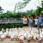 Top 10 luxury resorts in Vietnam: From elegance to nature