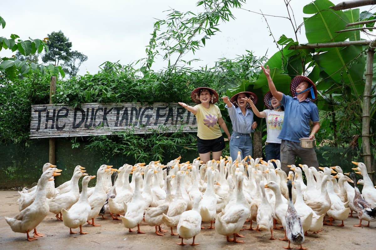 Du khách có thể tham quan Duck Tang Farm quanh năm và thời điểm lý tưởng nhất là mùa khô (từ tháng 3 - tháng 8)