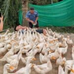 Kinh nghiệm du lịch Quảng Bình cho người mới đi lần đầu