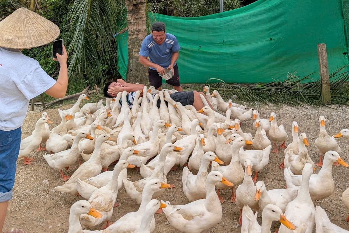 Trải nghiệm cho vịt ăn, massage vịt, và ăn nhẹ sẽ bao gồm trong giá vé 100.000 VNĐ