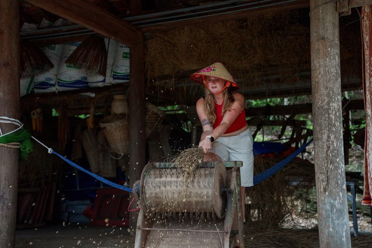 Duck Tang Farm Phong Nha: Một góc hồn quê giữa núi rừng 1 Du khách trải nghiệm công đoạn tuốt lúa bằng máy nông nghiệp ở Duck Tang Farm