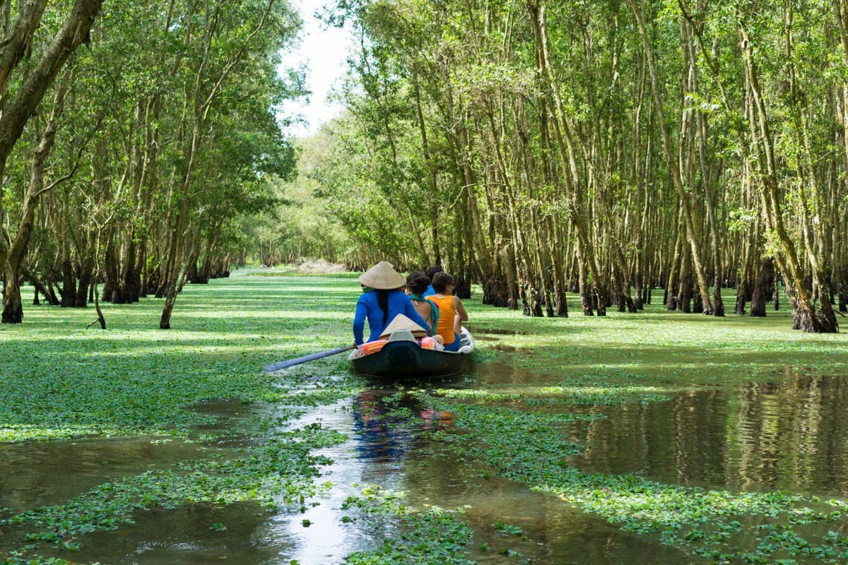What to Do in Vietnam: Top 10 Must-Dos 6 Wooden boats on the Mekong Delta drift past coconut palms and floating stalls.