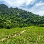 20+ basic Vietnamese phrases and usage situations for travelers