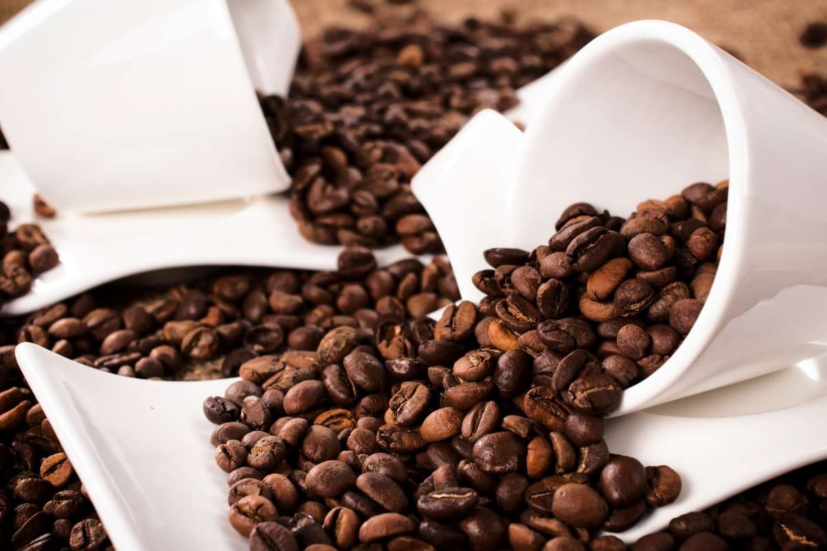 Hướng dẫn du lịch Khe Sanh Quảng Trị khám phá chi tiết 3 Hạt cà phê Arabica