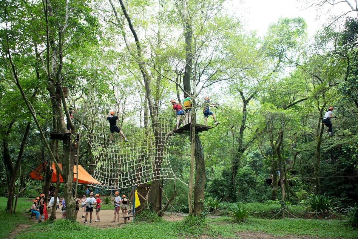 tro choi tren cay ozo park 1