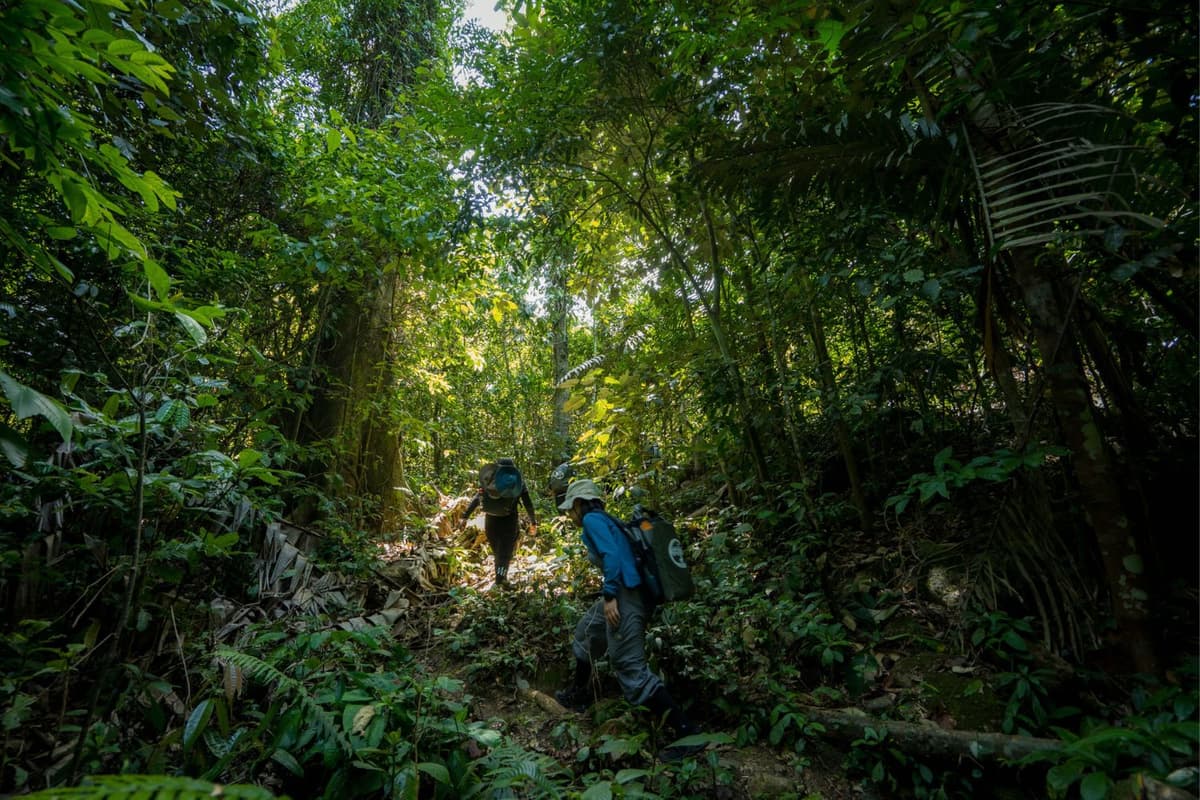 Beneath the canopy of the primary forest, travelers are sheltered from Quang Tri's blazing sunshine and hot Lao winds