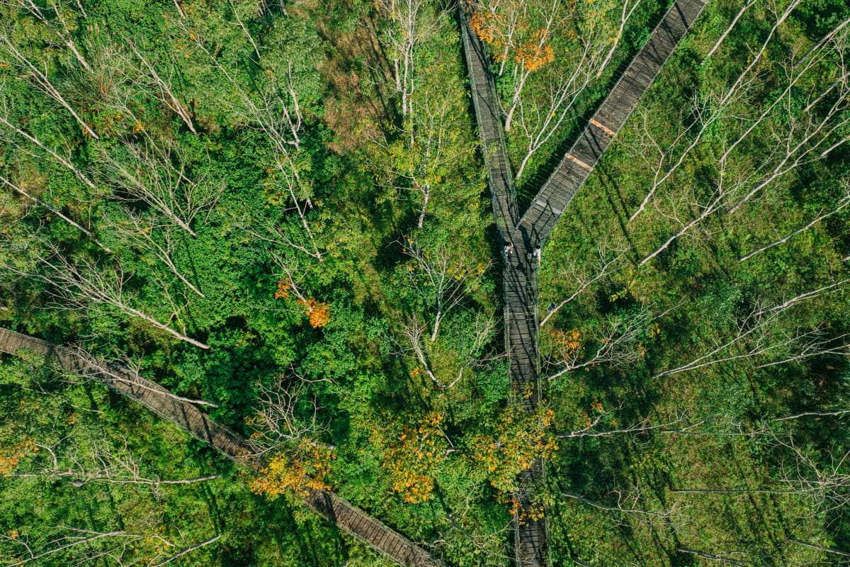 Phong Nha in spring: Embrace the beauty of nature in bloom 17 Surrounded by lush forests, Blue Diamond Retreat offers expansive grounds for walking, relaxing, and outdoor activities
