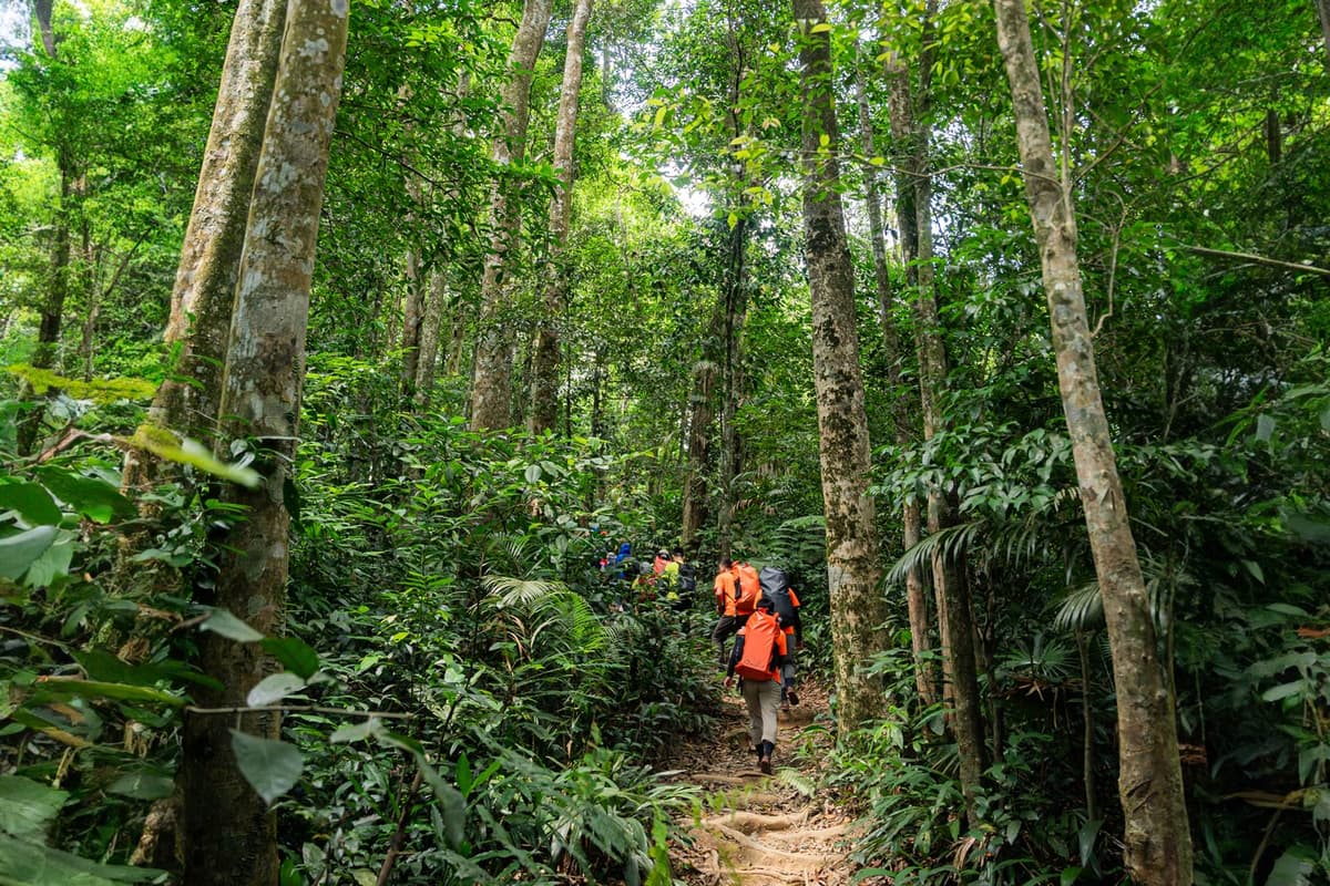 Phong Nha in spring: Embrace the beauty of nature in bloom 3 Spring invites travelers to embrace new adventures and discover the beauty of nature on foot
