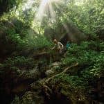Phong Nha in spring: Embrace the beauty of nature in bloom