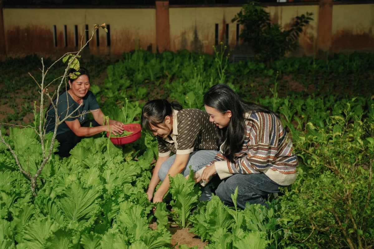 Blue Diamond Retreat: A Nature-Inspired Retreat in Phong Nha - Ke Bang 10 Enjoy local home dining experience and meaningful conversations with local people